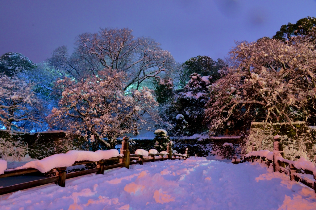 雪夜景・彦根城　Ⅵ