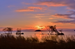 冬夕景・琵琶湖湖北