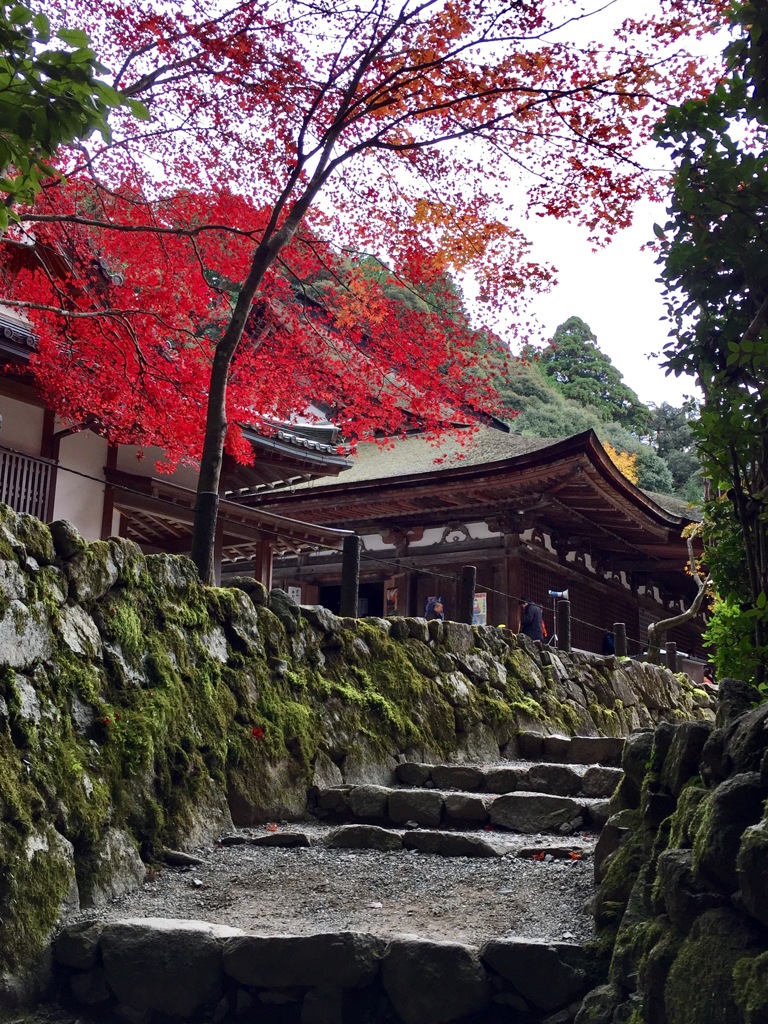 湖東三山西明寺　3-3