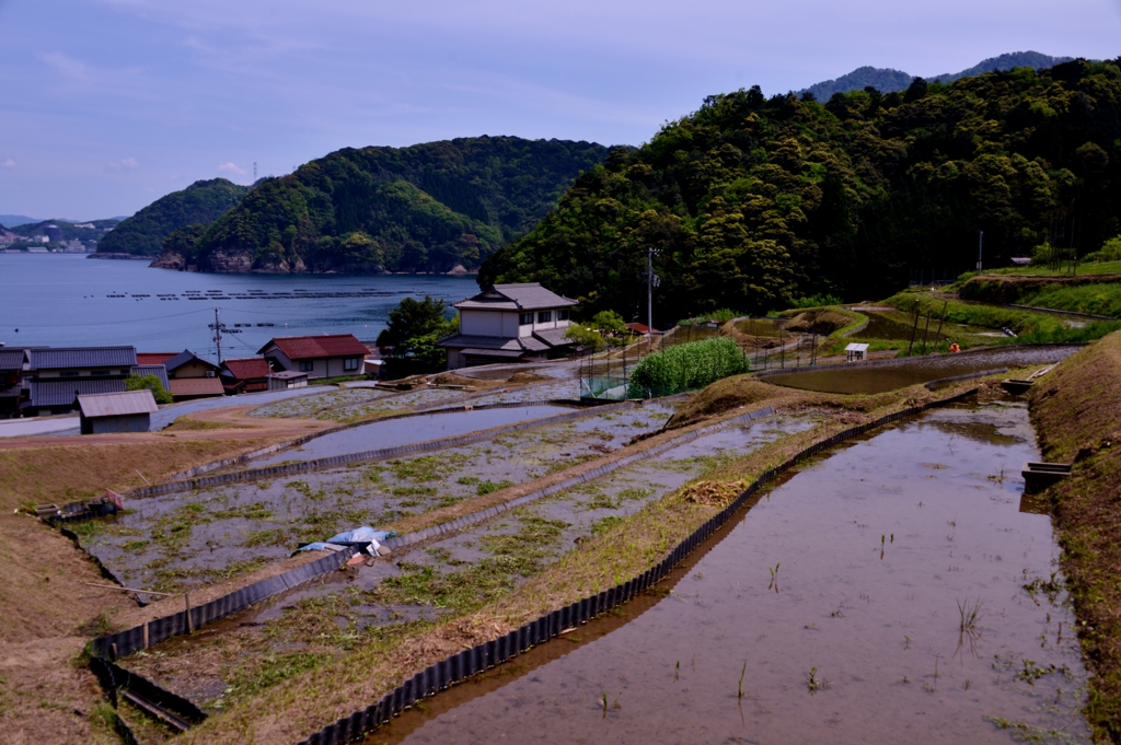 日引の棚田寸景　9-5