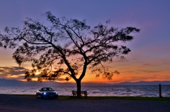 「あのベンチ」夕車