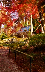 紅葉の石道寺