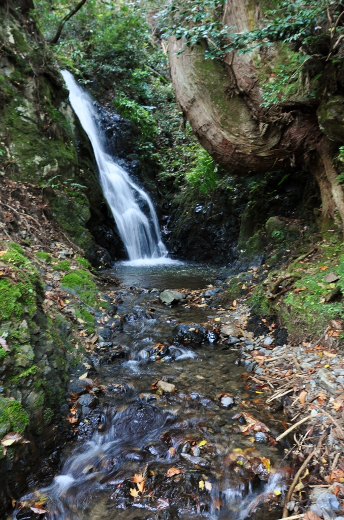 山間の小滝