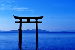 Lake Biwa in the lake during the torii