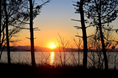 春めく夕日