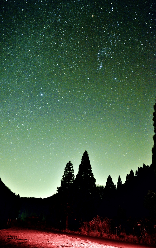 Star of the night sky