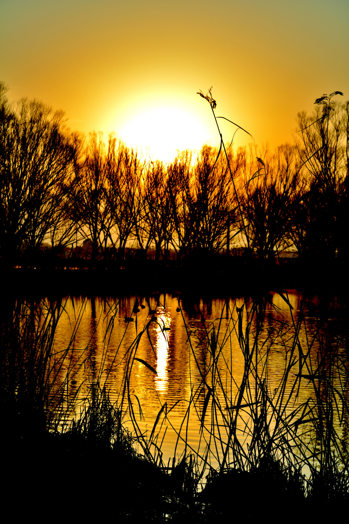 The morning sun