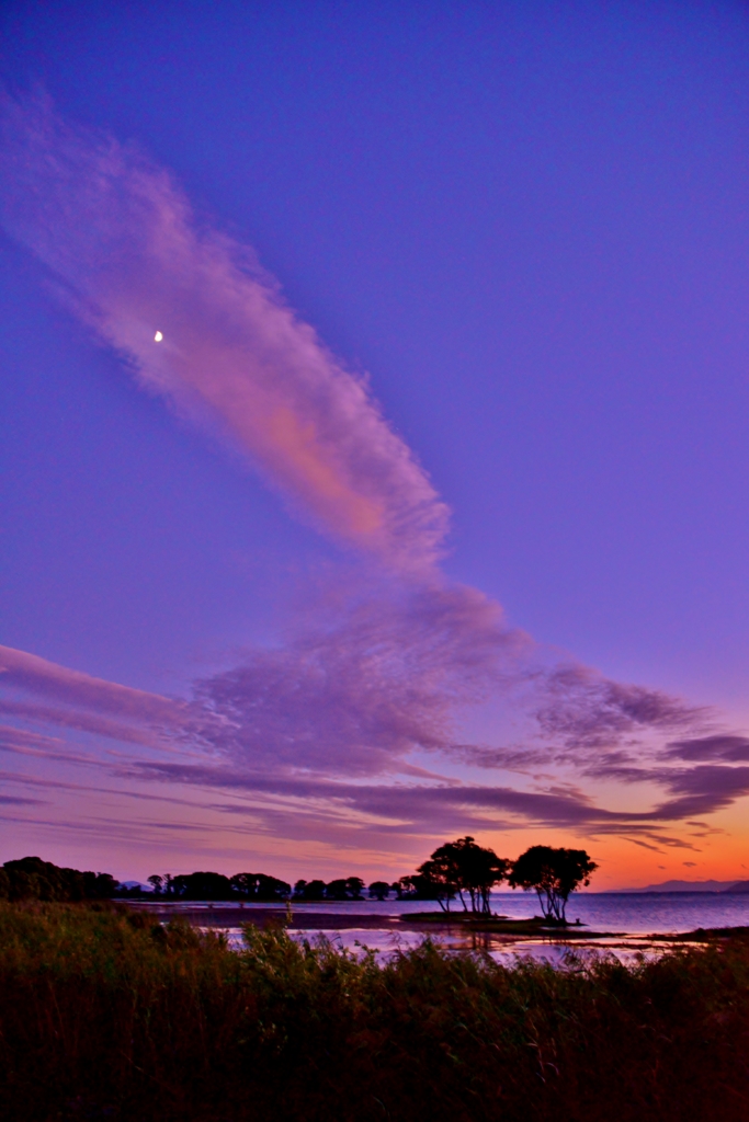 秋夕晴