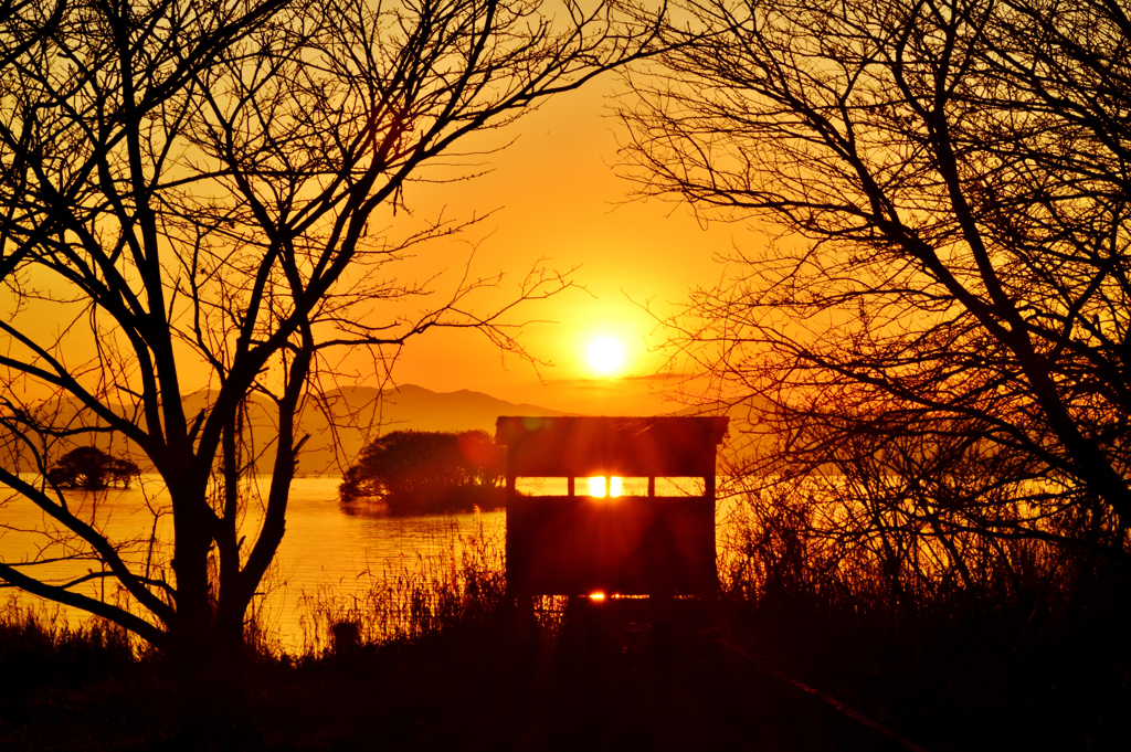 水辺の鳥の囁きが・・・