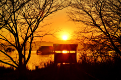 水辺の鳥の囁きが・・・