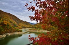 白龍湖（姉川ダム）の秋