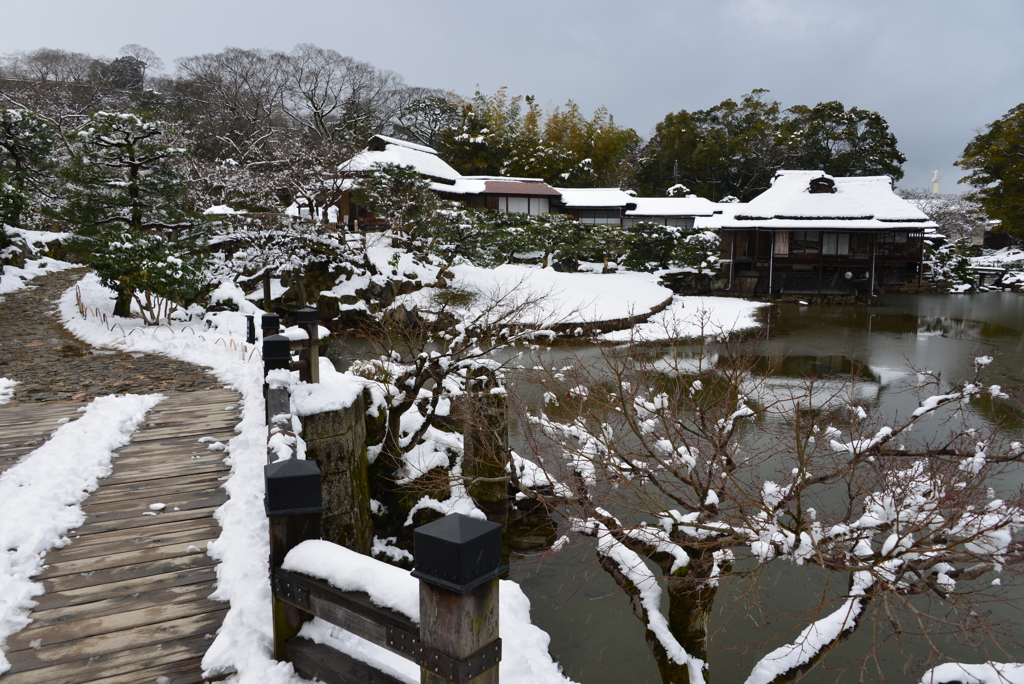 雪の彦根城玄宮園散策　Ⅲ　