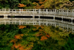秋水鏡