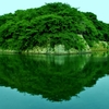 深緑の濠端
