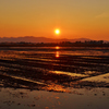 田おこしの夕日