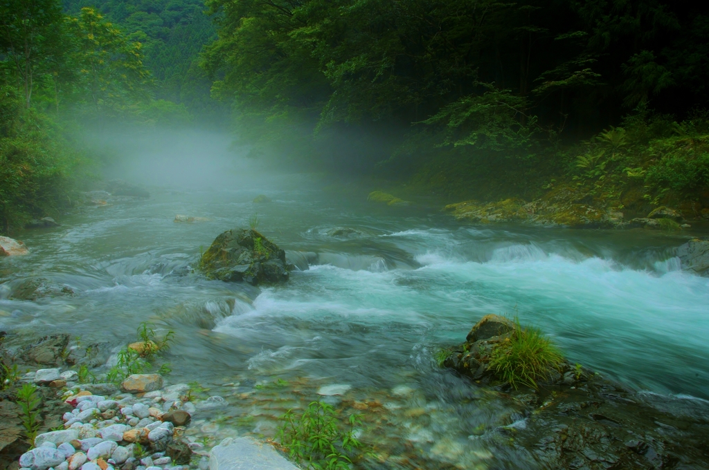 芹川の川霧