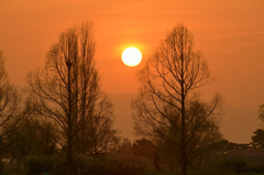 春夕日