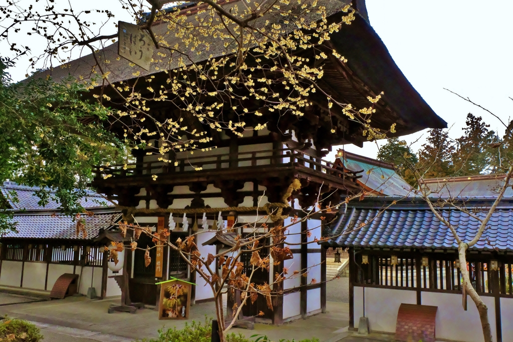 霜月の沙沙貴神社楼門