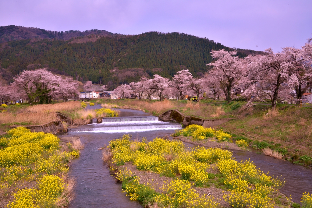 余呉川春景