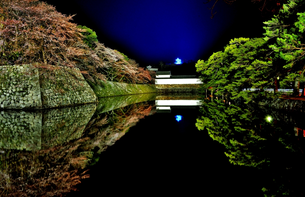 彦根城濠端夜景