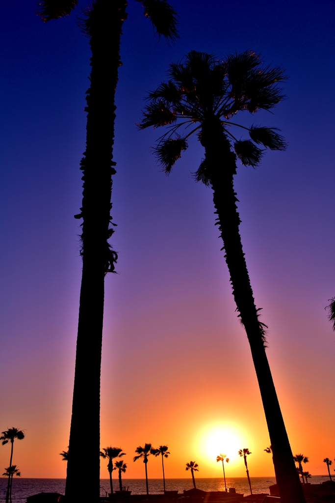 カリフォルニアの夕日