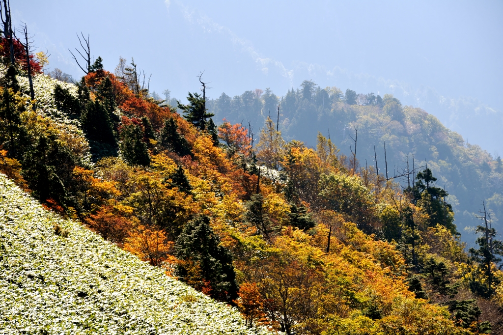 秋の山