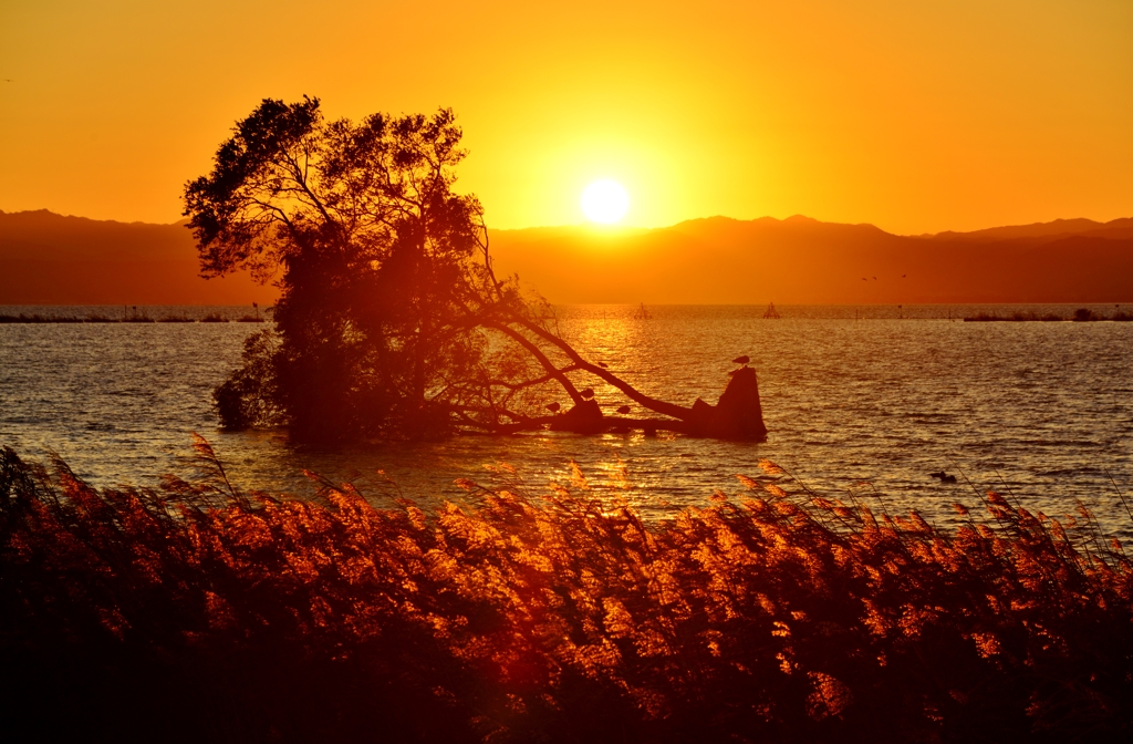 自然が変えた湖北の夕日