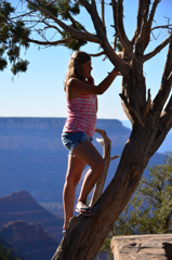 木に登る女性
