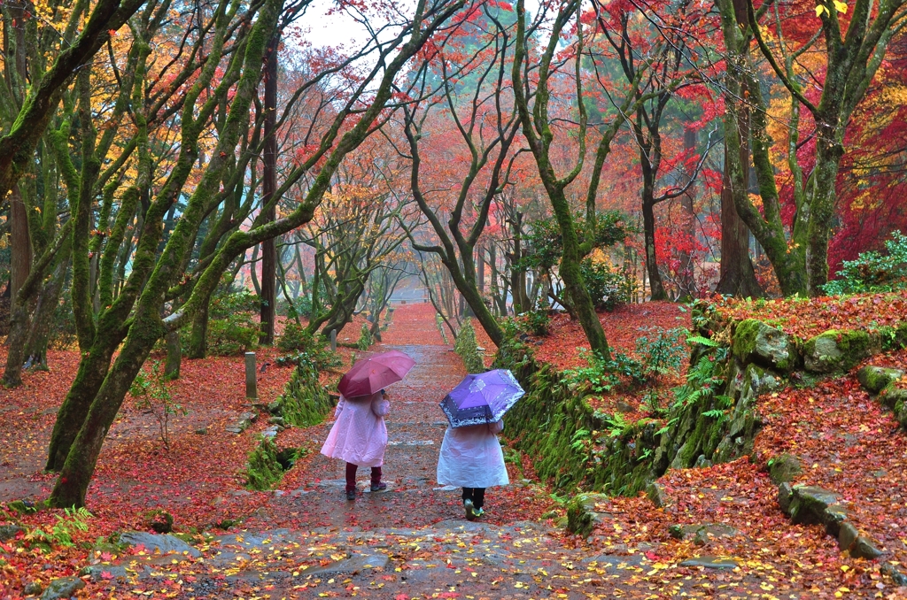 散り紅葉踏みて