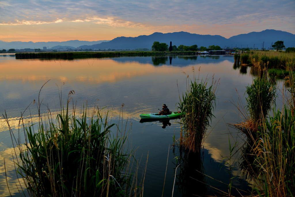 伊庭内湖（大同川）朝景