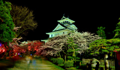 春の宴・夜桜