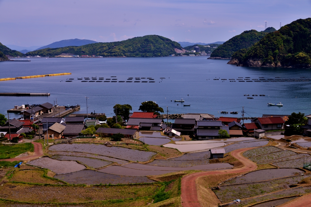 日引の棚田寸景 9 1 By 近江源氏 Id 写真共有サイト Photohito