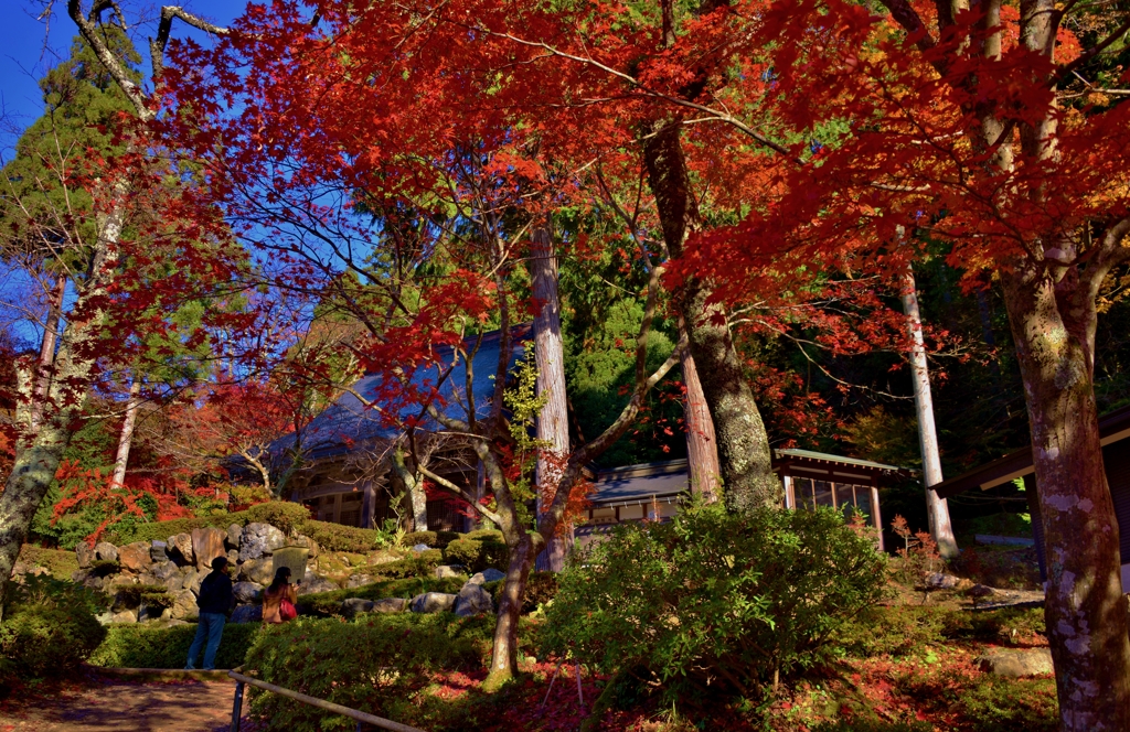 石道寺の秋旅