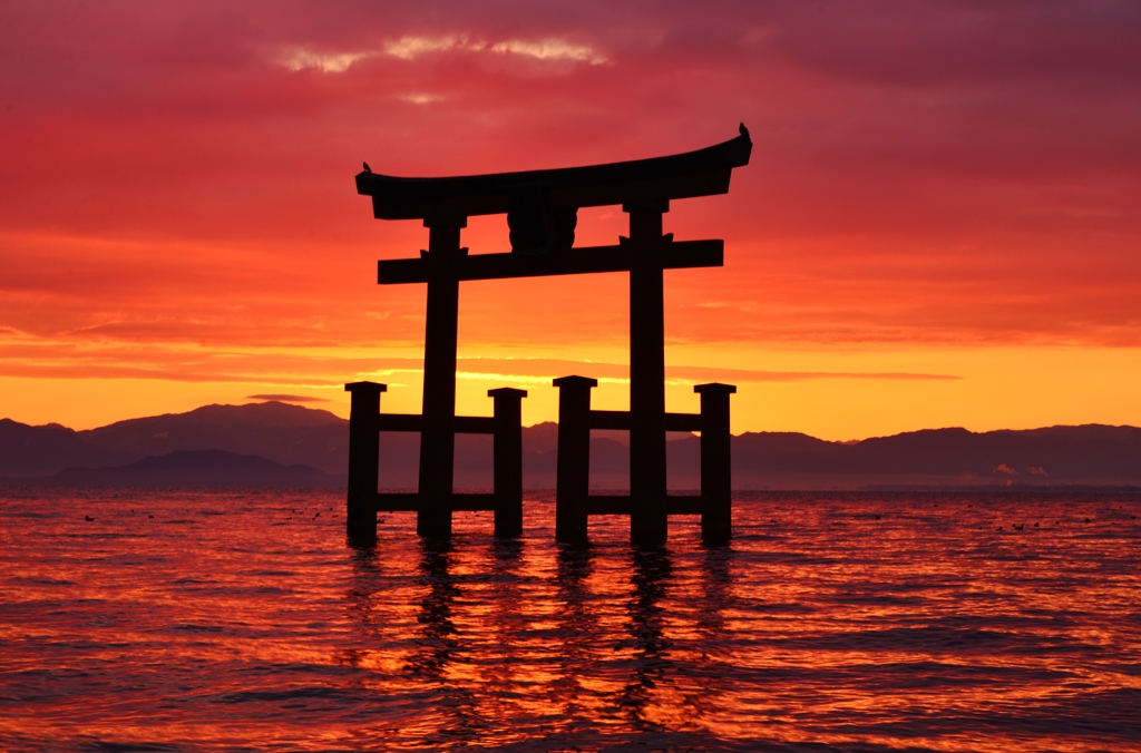 朝焼けの湖中鳥居