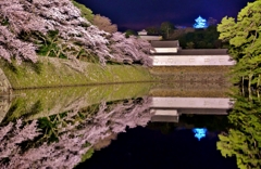 彦根城春夜景ライト