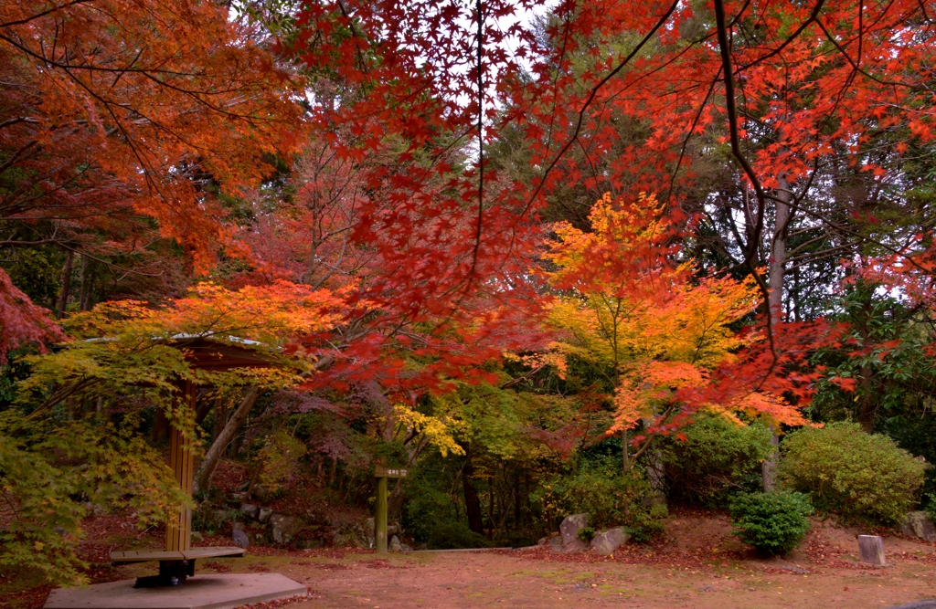 近江商人の紅葉公園　4-4