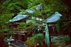 竹生島宝厳寺の護摩堂と月定院