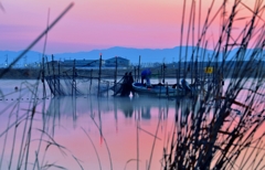 夜明けの川漁