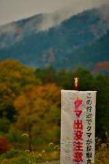 クマ出没注意