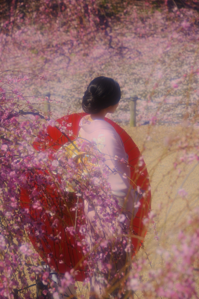 後ろ姿花