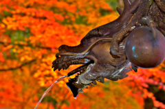佛通寺紅葉　Ⅴ