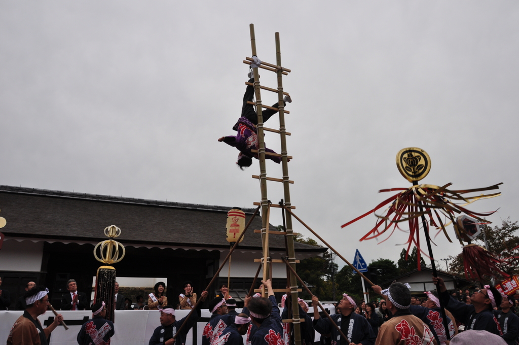 彦根鳶火消し