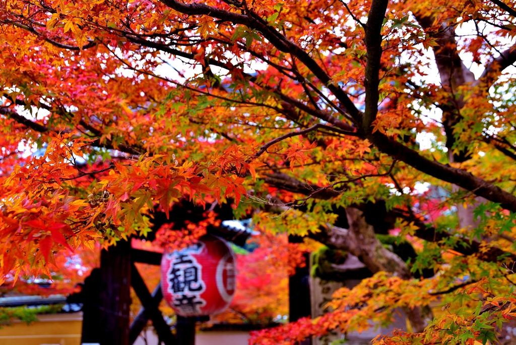 紅葉山門
