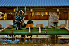 沙沙貴神社　手水　2-2