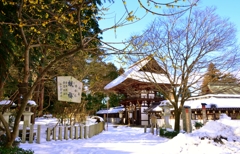 沙沙貴神社冬景