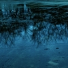 水溜りの映り