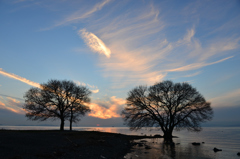 夕木夕景