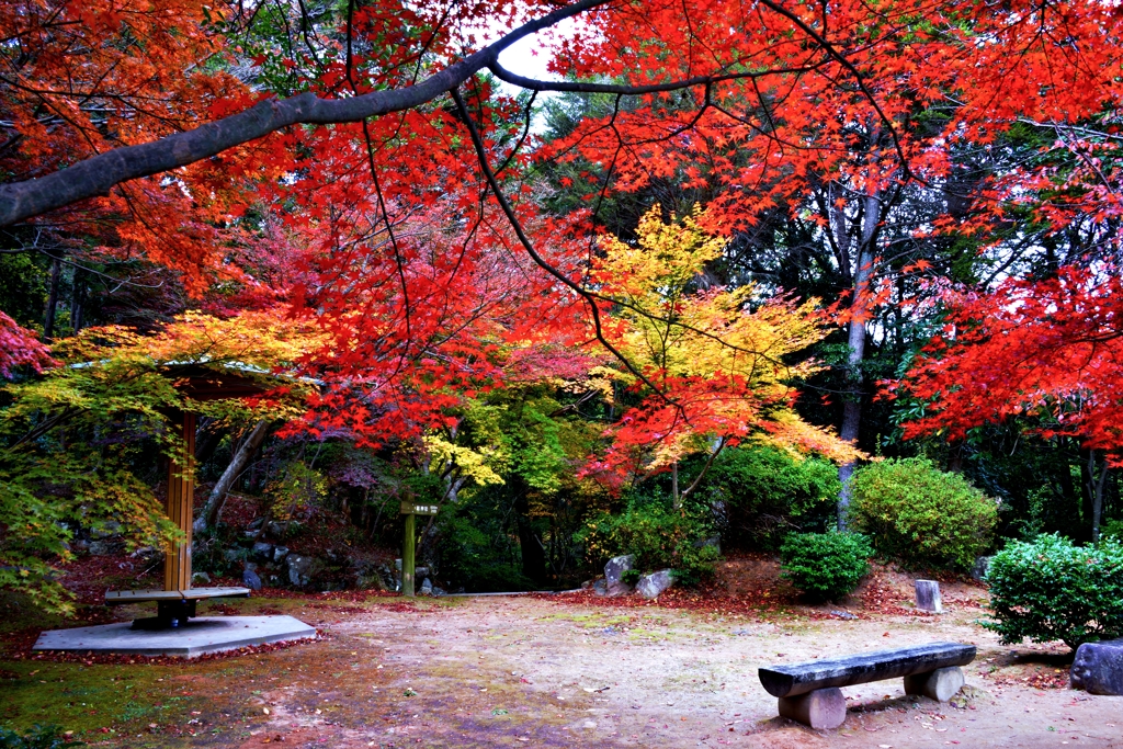 近江商人の紅葉公園　4-3