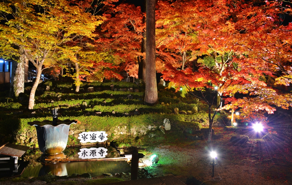 永源寺ライトアップ
