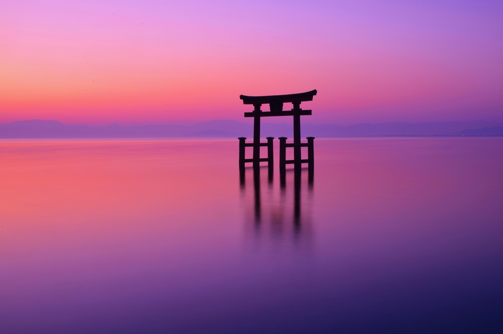 春暁の湖中鳥居